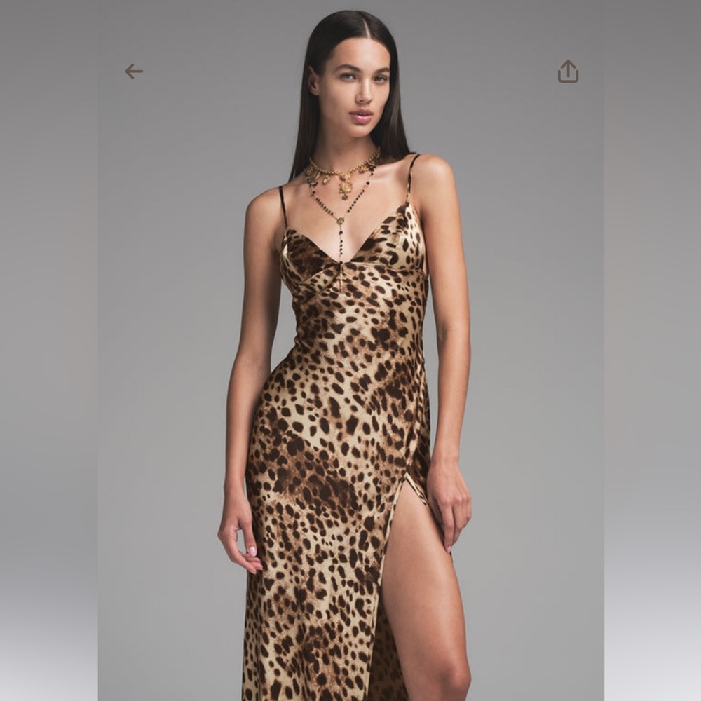 Dolce x Gabbana Skims Silk Dress NWT